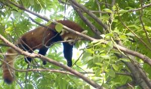 China registró su mes de julio más caluroso desde 1961