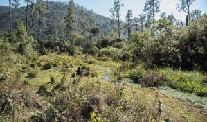 Entre avances y retrocesos, RD sube de puesto en ranking de desempeño ambiental