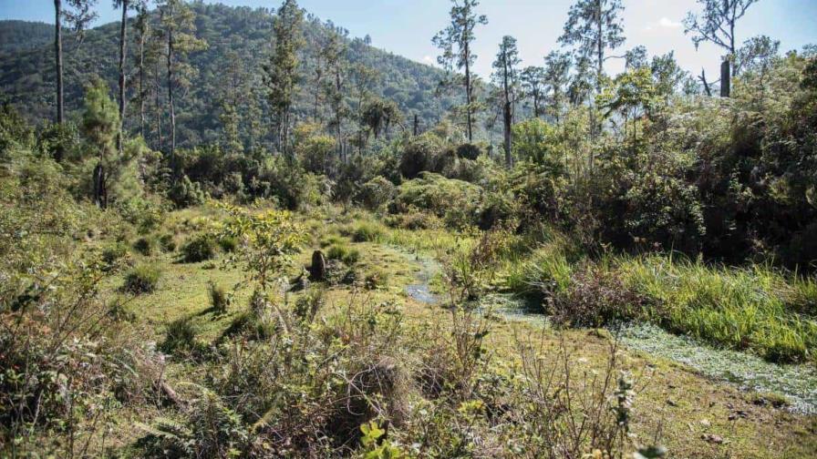 Entre avances y retrocesos, RD sube de puesto en ranking de desempeño ambiental