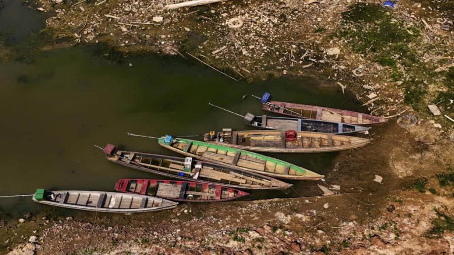 Afectada por una sequía precoz, la Amazonía vive una situación ´crítica´