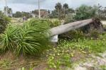 Tormenta Debby causa cuatro muertos y alertas de inundaciones catastróficas en sureste de EEUU Tormenta Debby causa cuatro muertos y alertas de inundaciones catastróficas en sureste de EEUU