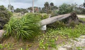 Tormenta Debby causa cuatro muertos y alertas de inundaciones catastróficas en sureste de EEUU