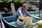 Así fue como pescadores de Río San Juan encontraron un bote lleno de osamentas Así fue como pescadores de Río San Juan encontraron un bote lleno de osamentas