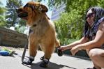 Calor extremo repercute en el recibo de luz de la mayoría de estadounidenses