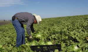 Campesinos denuncian en corte a Nueva Jersey por excluirlos en leyes de igualdad salarial
