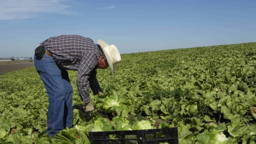 Campesinos denuncian en corte a Nueva Jersey por excluirlos en leyes de igualdad salarial