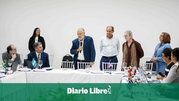 Concluye reunión regional sobre la protección de las ballenas