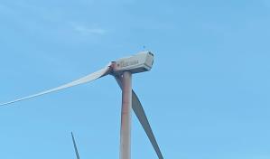 Desplome de aspas en molinos eólicos causa pánico en colonia de Juancho, Pedernales