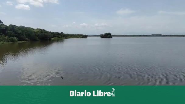 Denuncian pez gato "extermina" especies en Laguna Saladilla