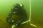 Descubren en Finlandia la planta marina más antigua conocida hasta ahora Descubren en Finlandia la planta marina más antigua conocida hasta ahora