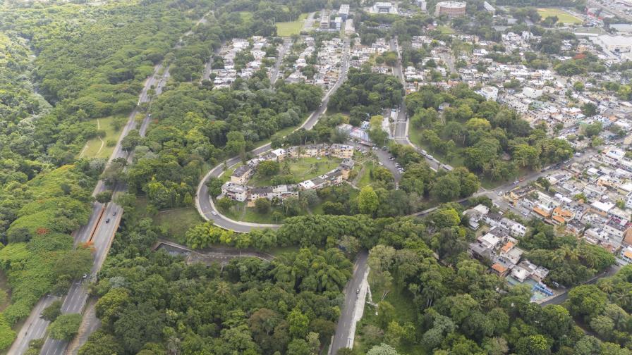 Los Jardines del Norte:  un bosque urbano donde los humanos y la naturaleza conviven en armonía