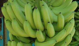 Productos agrícolas muestran notables cambios en precios mayoristas y minoristas