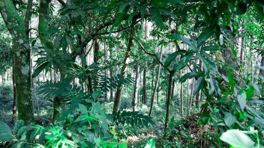 Medio Ambiente firma nuevos acuerdos de comanejo para tres áreas protegidas