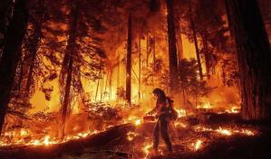 Enorme incendio forestal de California ya est&aacute; un 40 % controlado