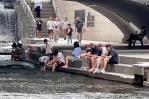 El calor no da tregua en Corea del Sur, donde han muerto ya 763,000 animales de granja