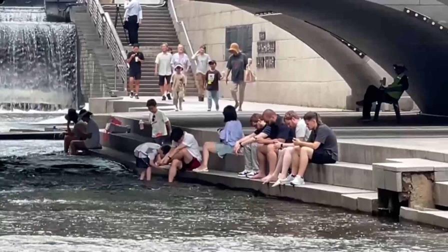 El calor no da tregua en Corea del Sur, donde han muerto ya 763,000 animales de granja