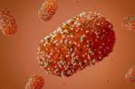 Europa debe prepararse para más casos de viruela del mono (mpox) Europa debe prepararse para más casos de viruela del mono (mpox)