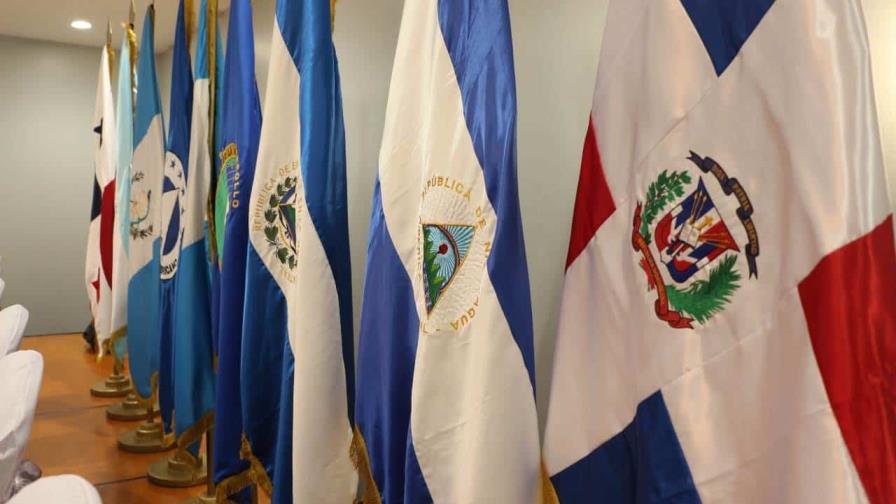 Conozca los diputados dominicanos ante el Parlacen para el periodo 2024-2028 (con gráfico)