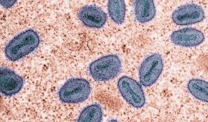 Reconocen dentro del microbioma humano cientos de moléculas como potenciales antibióticos