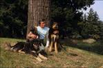 El perro de Alain Delon no será sacrificado, en contra de los deseos del actor El perro de Alain Delon no será sacrificado, en contra de los deseos del actor