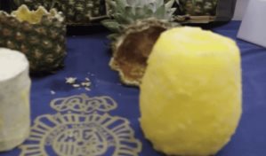 Desarticulada en España red que introducía cocaína de Sudamérica oculta en cajas de piñas