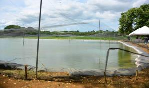 El FEDA inaugura proyecto acuícola en la Base Aérea San Isidro