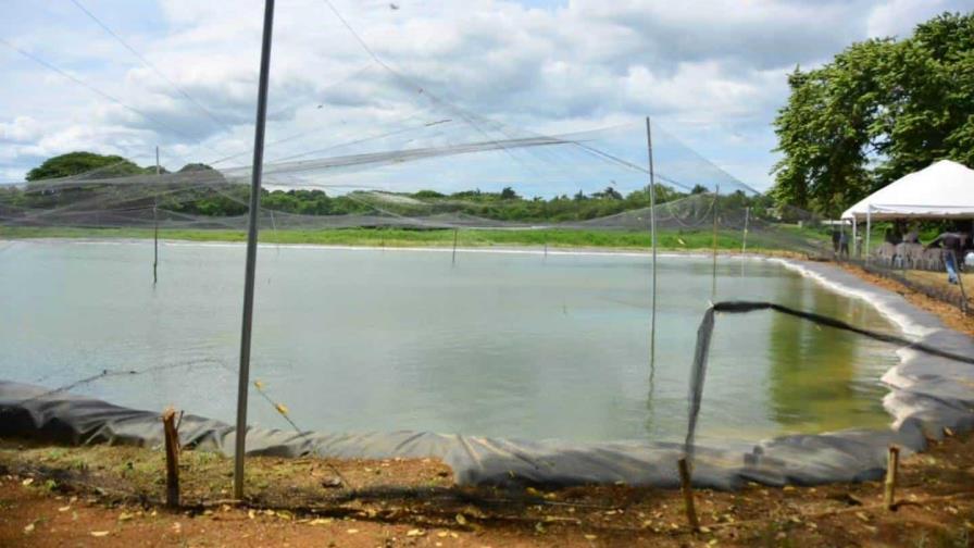 El FEDA inaugura proyecto acuícola en la Base Aérea San Isidro