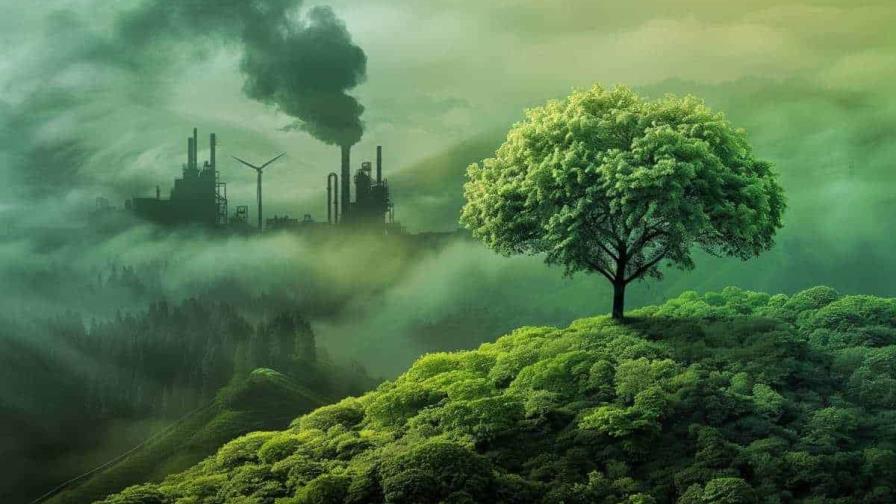 Entre el greenwashing y la sostenibilidad