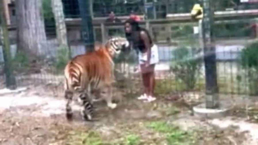 La Policía busca a una mujer que entró en la jaula del tigre en un zoológico para tocarlo