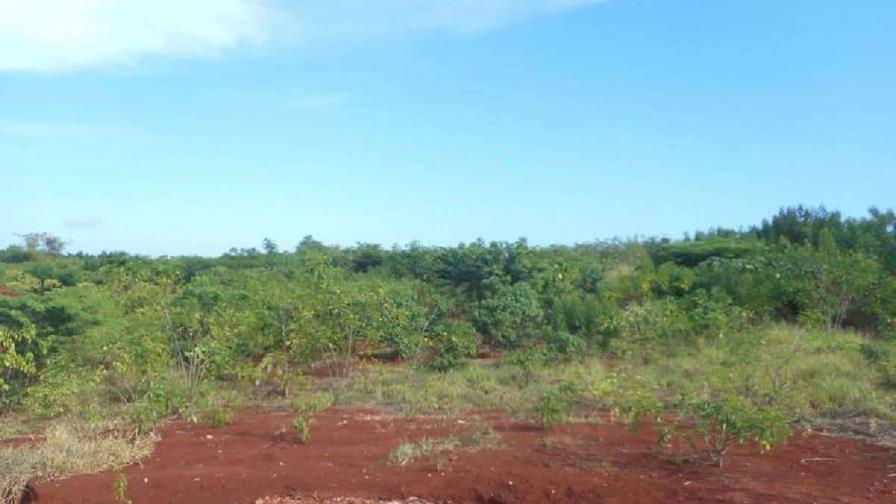 Exploración sistemática y rigurosa determinará potencial del país en tierras raras