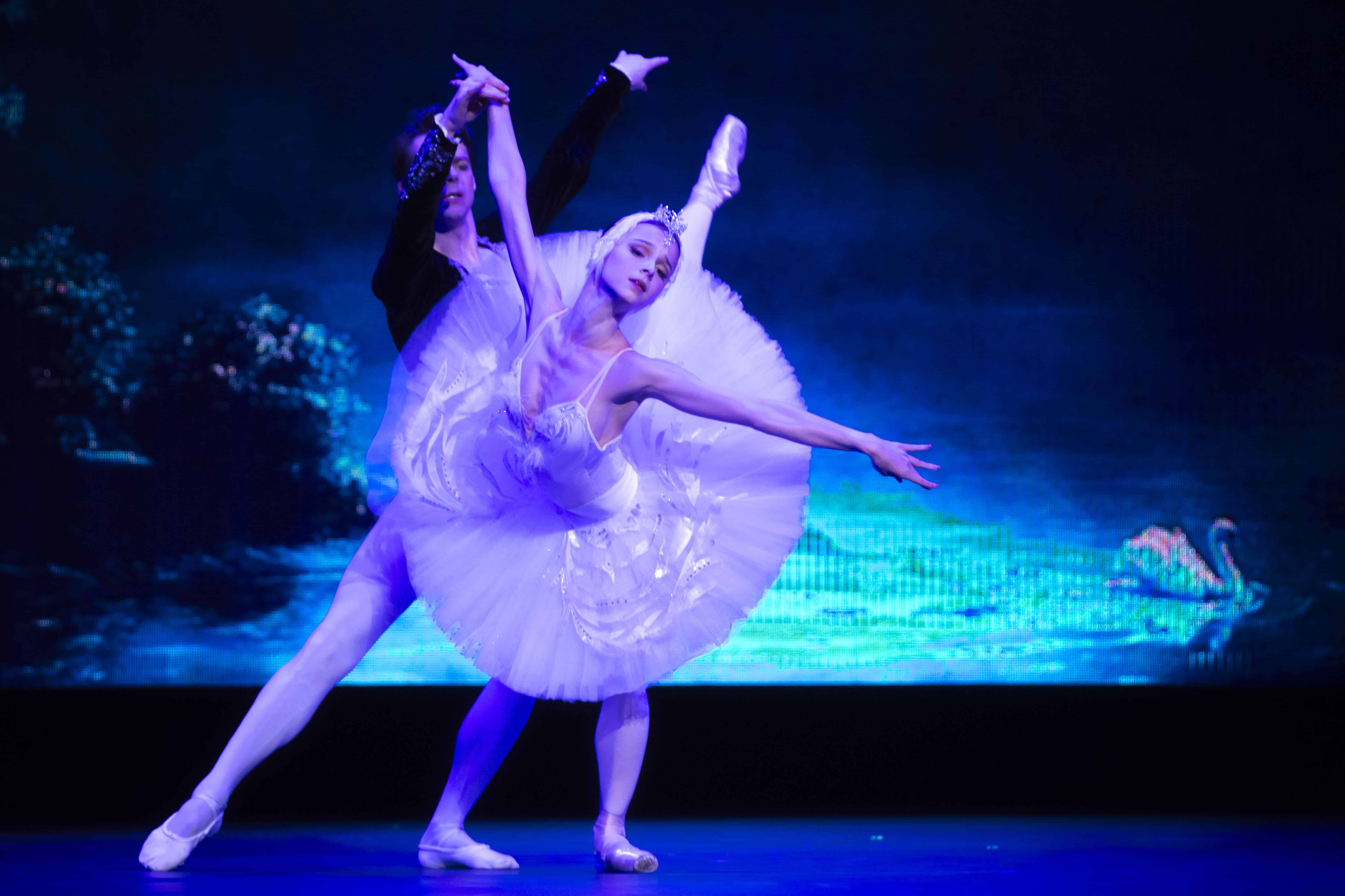 El Lago De Los Cisnes fue otro clásico magistral interpretado por los artistas. En fotografía la bellísima bailarina María Khoreva y el apuesto Vladimir Shklyarov.