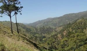 Someten proyecto de ley para declarar reserva natural Romero en San Juan