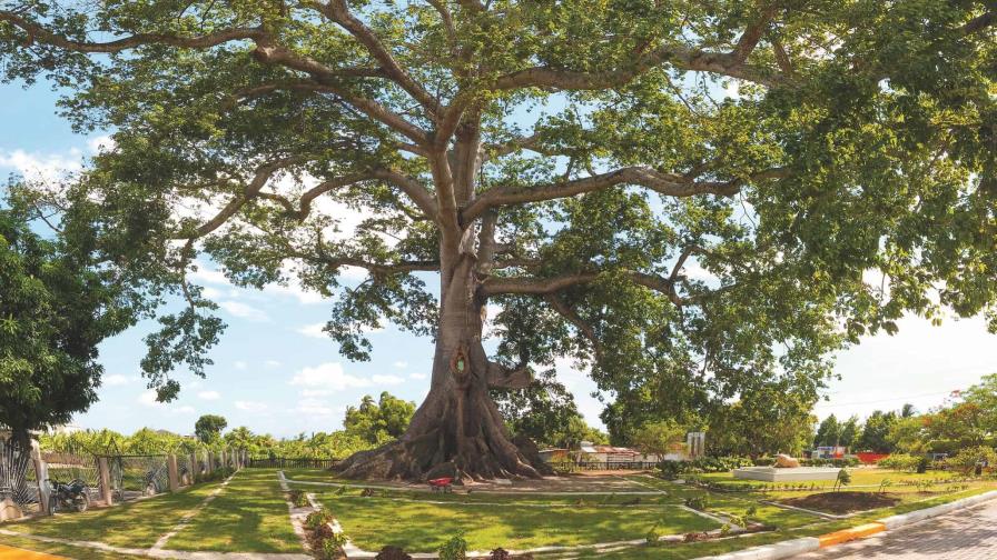 Añaden nueva adenda a acuerdo de comanejo del Monumento La Ceiba