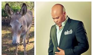 Rubby Pérez denuncia la desaparición de su burro Ignacio; teme haya sido víctima de banda delictiva
