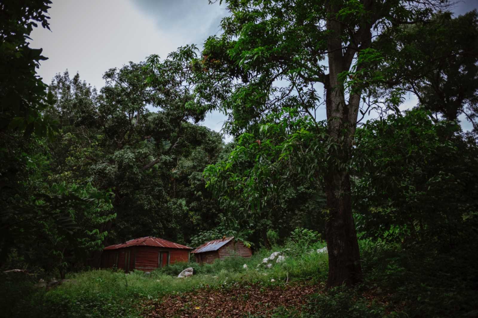 [object HTMLTextAreaElement]