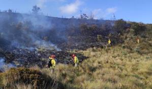 Más de 20 mil animales muertos en unos dos mil incendios forestales desde enero en Ecuador