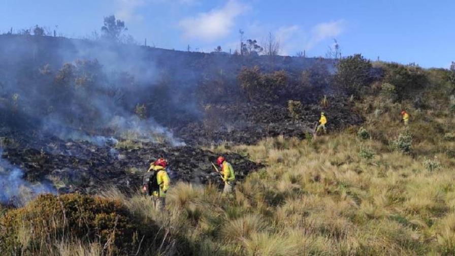 Más de 20 mil animales muertos en unos dos mil incendios forestales desde enero en Ecuador