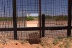 Récord de 165 migrantes muertos en frontera de estado mexicano Chihuahua con EEUU en 2024