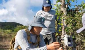 Drones, IA, millones de dólares y DiCaprio para restaurar una isla entera en Galápagos