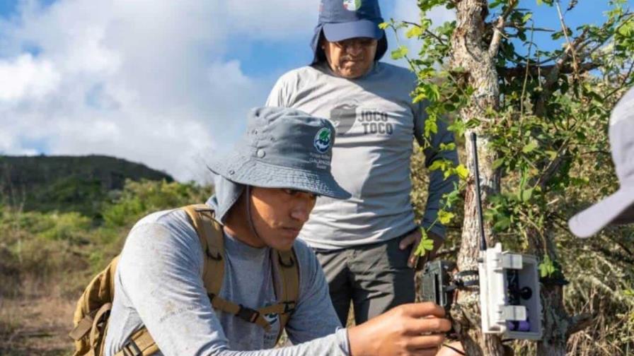 Drones, IA, millones de dólares y DiCaprio para restaurar una isla entera en Galápagos