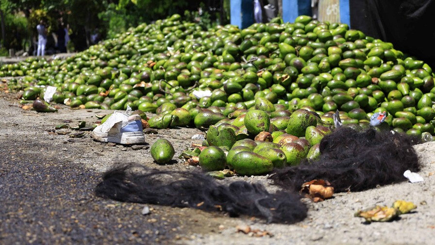 La proporcionalidad no se mide en aguacates: detalles de la condena por robo que se hizo viral La proporcionalidad no se mide en aguacates: detalles de la condena por robo que se hizo viral