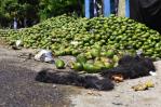 Hospitales de Azua y San Juan atienden 41 heridos del accidente de Las Yayas