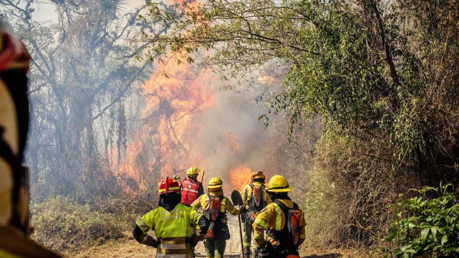 Sigue activo el mayor incendio forestal en Ecuador de los últimos años; Colombia envía apoyo