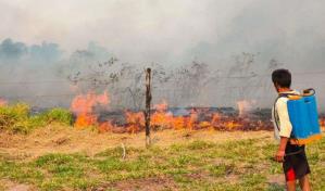 Bolivianos batallan contra los incendios forestales en jornadas de hasta 72 horas