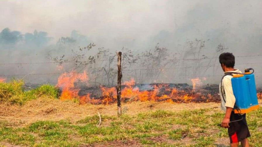 Bolivianos batallan contra los incendios forestales en jornadas de hasta 72 horas