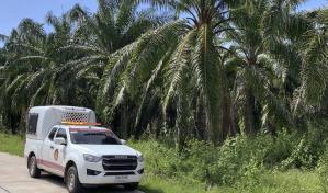 Daniel Sancho estará en cuarentena hasta el 5 de septiembre en la prisión de Surat Thani