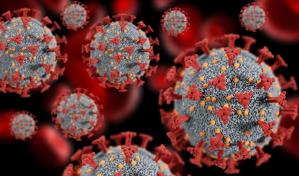 Inteligencia artificial descubre más de 160,000 nuevas especies de virus