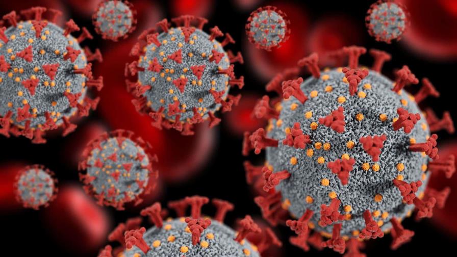 ¿Por qué tantos virus nuevos?