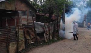 Casos confirmados de dengue en el país ascienden a 1,070 desde el inicio de 2024