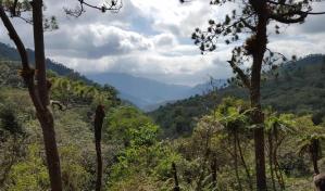 Reserva Madre de las Aguas: entre la búsqueda de conservación y desarrollo comunitario